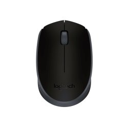 Logitech M171 Maus Beidhändig RF Wireless Optisch 1000 DPI