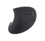 Equip 245110 ratón mano derecha RF inalámbrico Óptico 1600 DPI