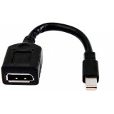 HP Câble adaptateur miniDP-DP