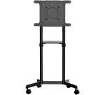 StarTech.com Chariot Meuble TV - Support TV sur Roulettes Portable pour Écrans VESA 37-70" (70kg) - Pied TV avec Étagère de Rangement - Inclinable - Gabarit de Montage Universel Télévision