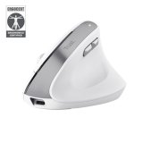 Trust Bayo II souris Bureau Droitier RF sans fil Optique 2400 DPI