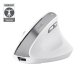 Trust Bayo II souris Bureau Droitier RF sans fil Optique 2400 DPI