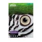 Epson C13S450283NQ papier jet d'encre A2 (420x594 mm) Finition texturée 25 feuilles Multicolore