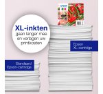 Epson Multipack 4-colours 503 Ink