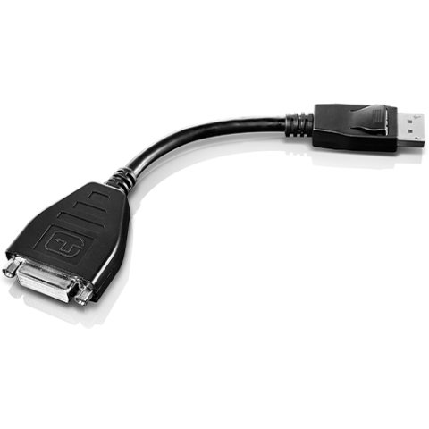 Adaptador de cable de vídeo Lenovo 45J7915 0,2 m DVI-D DisplayPort