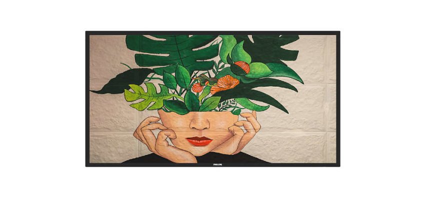 Philips Signage Solutions D-Line Pantalla plana para señalización digital 127 cm (50") VA 500 cd / m² 4K Ultra HD Negro