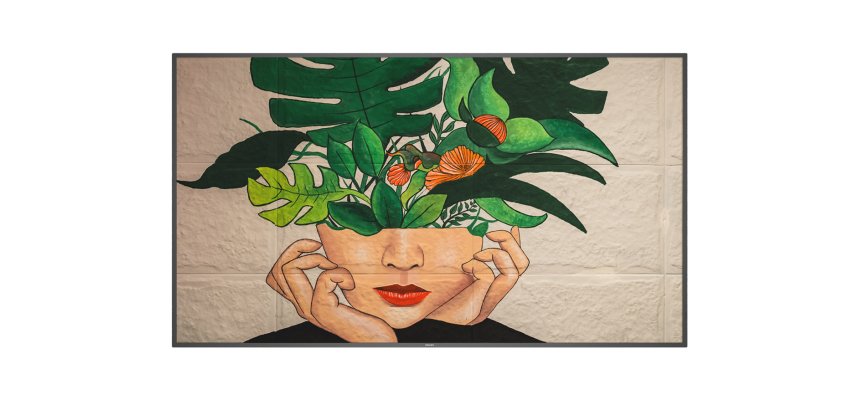 Philips 75BDL4511D/00 Écran d'affichage dynamique Carte A numérique 190,5 cm (75") 500 cd/m² 4K Ultra HD Noir 24/7