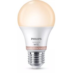 Philips Lampadina 60 W A60 E27