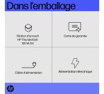HP Station d’accueil Thunderbolt 120 W G4