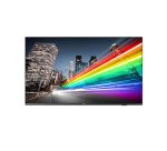 Philips 55BFL2214/12 pantalla de señalización 139,7 cm (55") LED Wifi 350 cd / m² 4K Ultra HD Negro Android TV