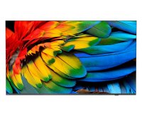 Philips 43HFL6214U 109,2 cm (43") 4K Ultra HD Smart TV Wifi Antracita 400 cd / m² Pantalla flexible