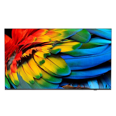 Philips 50HFL6214U 127 cm (50") 4K Ultra HD Smart TV Wifi Antracita 400 cd / m² Pantalla flexible
