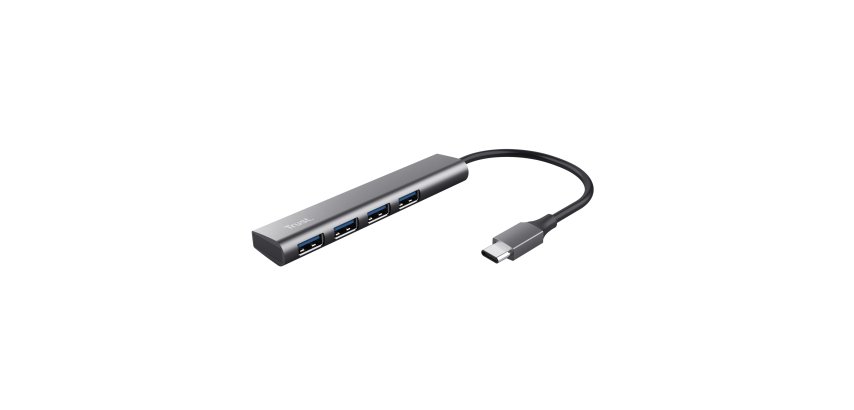 Trust Halyx USB 3.2 Gen 1 (3.1 Gen 1) Type-A 5 Mbit/s Gris