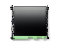 Brother Courroie de transfert originale f/ MFC-L8970CDW, HL-L8570CDW, MFC-L8730CDW, HL-L8430CDW