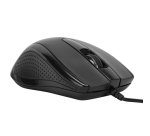 Targus AMU81AMGL souris Bureau Ambidextre USB Type-A Optique 1000 DPI