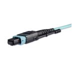 StarTech.com MPO8LCPL3M Cable de fibra óptica e InfiniBand 3 m MPO/MTP 8x LC Color aguamarina