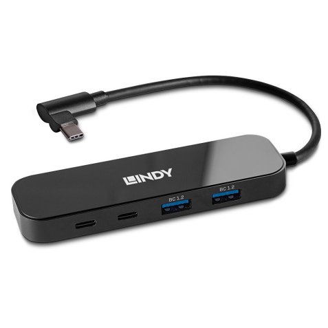 Lindy 43334 hub de interfaz USB 3.2 Gen 2 (3.1 Gen 2) Type-C 10000 Mbit/s Negro