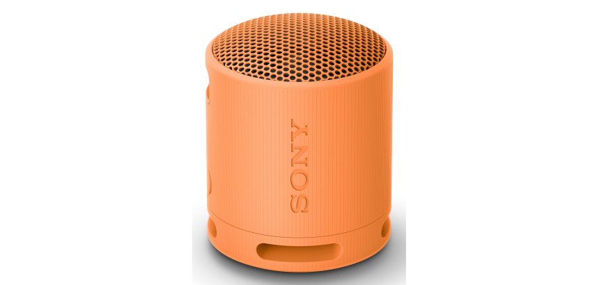 Sony SRS-XB100 Altavoz monofónico portátil Naranja