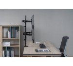 Equip Staffa di montaggio da scrivania per monitor quadrupli articolati da 17” a 32”
