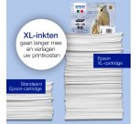Epson 26 - cyaan - origineel - inktcartridge