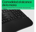 HP Teclado con cable 480 Comfort