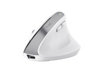 Trust Bayo+ ratón Oficina mano derecha RF Wireless + Bluetooth Óptico 2400 DPI