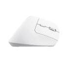 Trust Bayo+ souris Bureau Droitier RF sans fil + Bluetooth Optique 2400 DPI