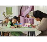 LEGO Nook's Cranny & Rosie's House