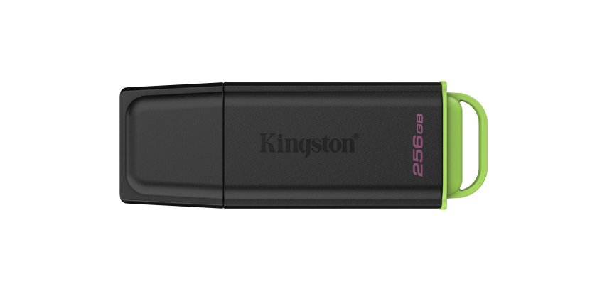 Kingston Technology DataTraveler 256Go Stockage portable USB 3.2 Gen 1 Exodia Noir + Vert