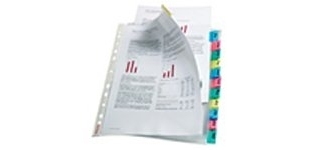 Esselte Busta Index a perforazione - 12 tasti - f.to A4 - PPL lucido