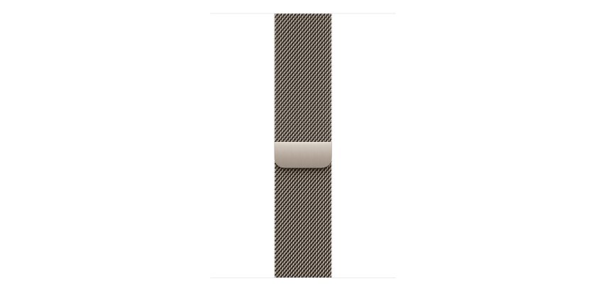 Apple MGJ24ZM/A smart wearable accessory Band Natural Stainless Steel