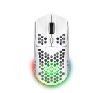 Trust GXT 929 Helox souris Gaming Droitier RF sans fil Optique 4800 DPI