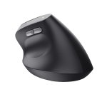 Trust TM-270 ratón Oficina mano derecha RF inalámbrico Óptico 2400 DPI