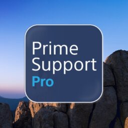 Sony 2Y PrimeSupport Pro 1 licence(s) 2 année(s)