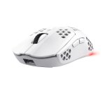 Trust GXT 929 Helox souris Gaming Droitier RF sans fil Optique 4800 DPI