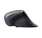 Trust Verro mouse Office Right-hand RF Wireless Optical 1600 DPI