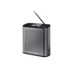 Sharp Digitalradio DR-P530 GR Portatile Digitale
