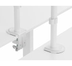 Equip Soporte de escritorio articulado para monitor de 17«-32», blanco