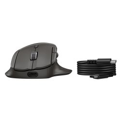 HP B8YX3AA#ABB souris