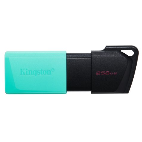 Kingston DataTraveler Exodia M - USB flash drive - 256 GB