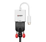 Lindy 43355 cavo e adattatore video USB tipo-C VGA (D-Sub) Bianco