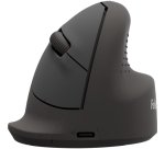 Fellowes 100143579 souris Universel Droitier Bluetooth + USB Type-C Optique 1600 DPI