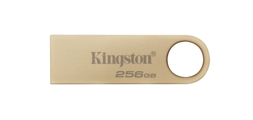 Kingston Technology DataTraveler 256GB 220MB/s Drive USB 3.2 Gen 1 in Metallo SE9 G3