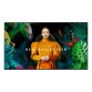 Pantalla plana para señalización digital 139,7 cm 55" Samsung QB55C LCD Wifi 350 cd / m² 4K Ultra HD Negro