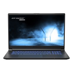 Erazer Scout E20 Intel® Core™ i5 i5-13420H Ordinateur portable 43,9 cm (17.3") Full HD 16 Go DDR5-SDRAM 512 Go SSD NVIDIA GeForce RTX 4050 Wi-Fi 6E (802.11ax) Windows 11 Home Noir