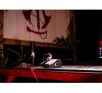 Lexip Coffret "Initiate "Assassin’s Creed Shadows (Souris + Tapis De Souris XXL + Jeu PC)