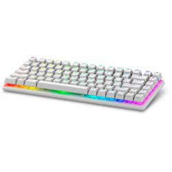 Alienware Pro Wireless Gaming Keyboard clavier USB + RF Wireless + Bluetooth Blanc