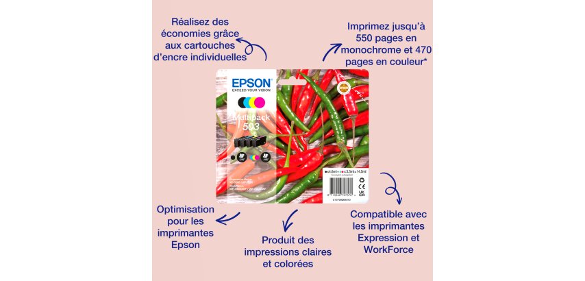 Epson Multipack 4-colours 503 Ink