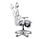 Trust GXT 725W Rivara Ergonomic mesh gaming chair - White