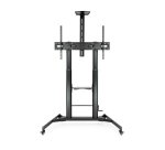 TooQ ZEUS 2,54 m (100") Negro